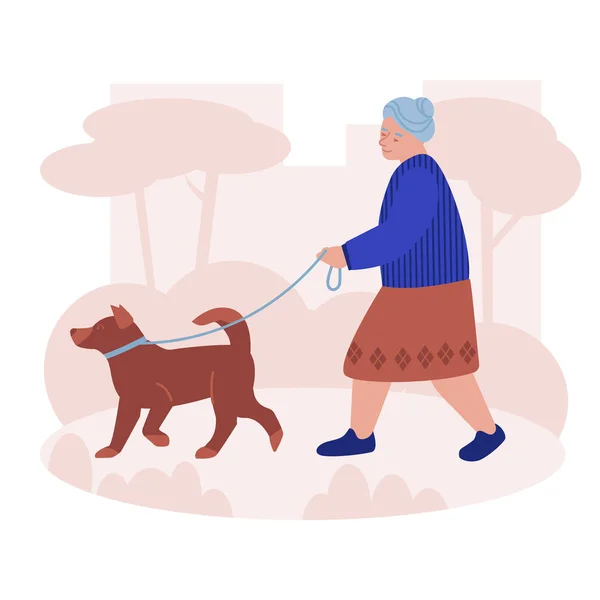 Uma idosa caminha com um cão no parque. Ilustração vetorial em estilo plano. — Vetor de Stock