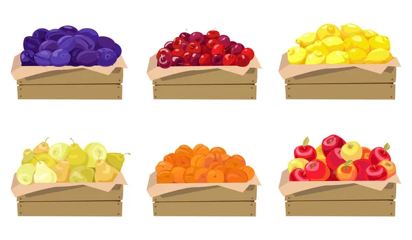 Set of vector illustrations. Fruits in wooden boxes. Plums, cherries, lemons, pears, apricots, apples. Isolated on a white background. — Stock Vector