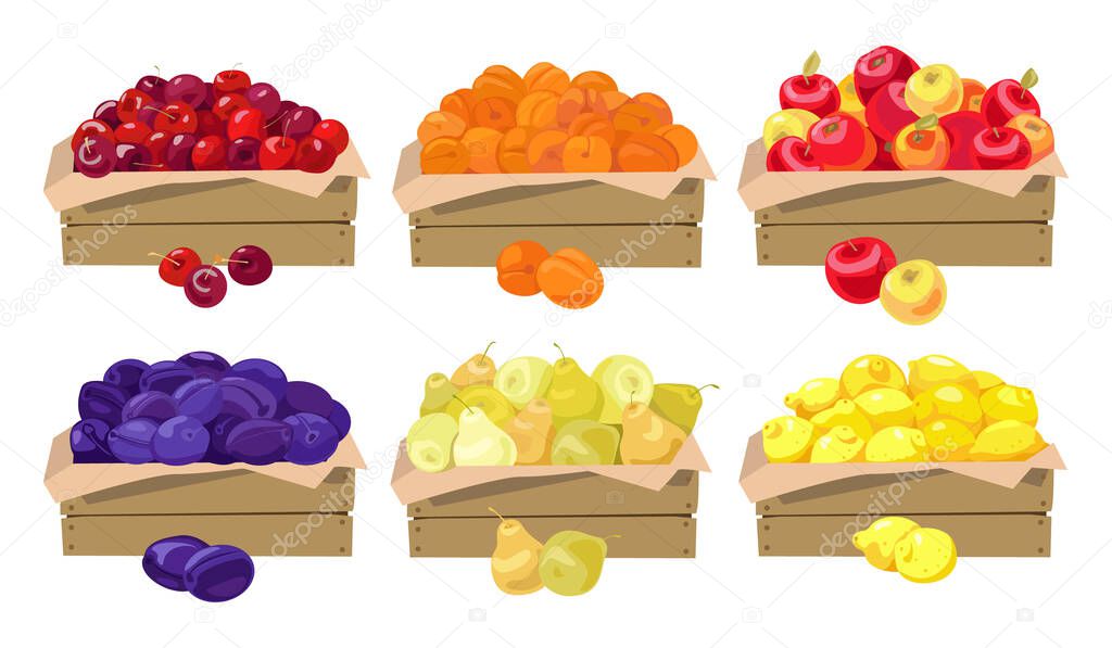 Set of vector illustrations. Fruits in wooden boxes. Plums, cherries, lemons, pears, apricots, apples. Isolated on a white background.
