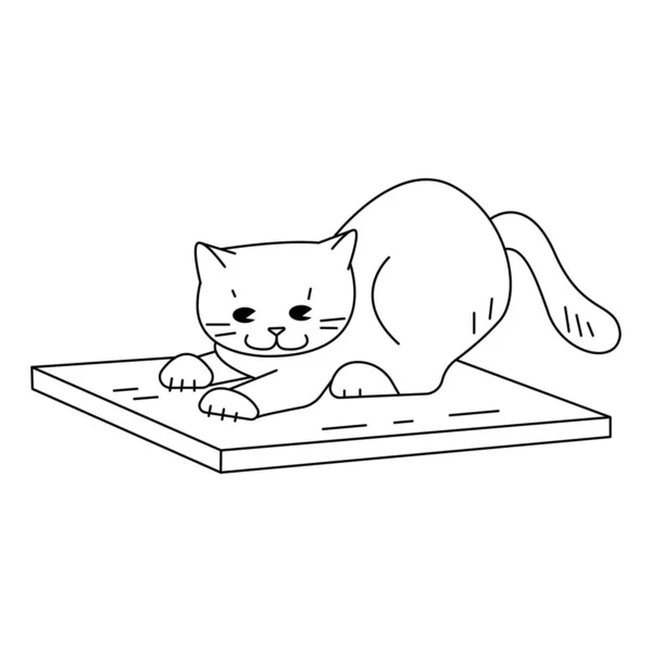 Jogo De Bolso De Gatos De Desenho Animado Ilustração do Vetor