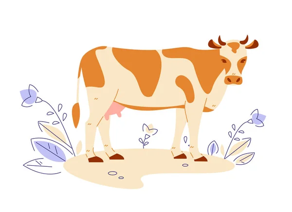 Cow. Vector illustration in flat cartoon style. — Stock Vector