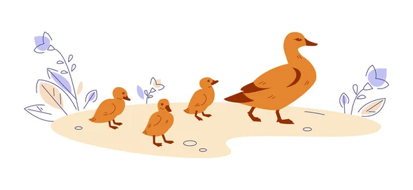 Anyakacsa kiskacsákkal a természetben. Vektor illusztráció lapos rajzfilm stílusban. — Stock Vector