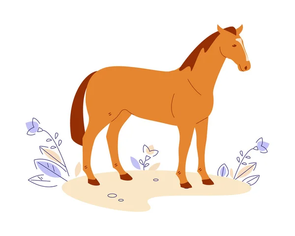 Cavalo no prado. Ilustração vetorial em estilo cartoon plana. Isolado sobre um fundo branco. — Vetor de Stock