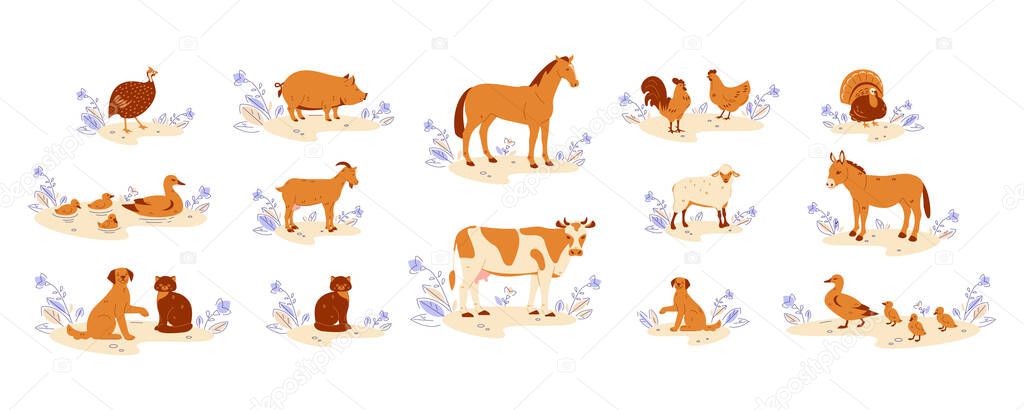Farm animals set. Horse cow goat duck with ducklings chicken with rooster donkey guinea fowl turkey pig sheep cat dog. Vector illustration in flat cartoon style.