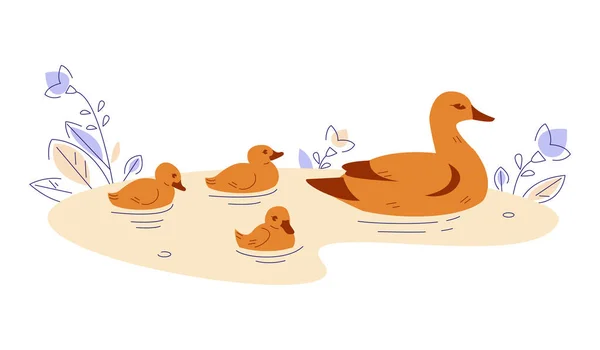 Kacsa kiskacsákkal a vízben. Vektor illusztráció lapos rajzfilm stílusban. — Stock Vector