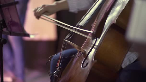 Mãos de um músico profissional de contrabaixo tocando em um ritmo lento com um arco. Master class em um instrumento musical de cordas. Em um salão escuro durante um concerto — Vídeo de Stock