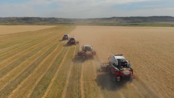 Four combine harvesters move through a wheat field and thresh the grain. At the edge of the field there are more agricultural machines. Small mountains can be seen in the distance. Amazing aerial view — Stock Video