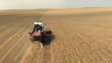 Beyaz bir biçerdöver sonsuz bir tarladan ve hasattan geçer. Arka ve üst görünüm. Ufukta, alan gri gökyüzü ile buluşuyor. Bulutlu bir gün.
