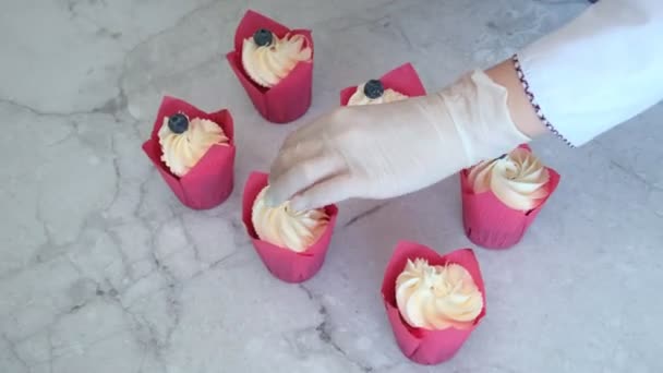 Mujer pastelera con su mano decora cupcakes, se pone arándanos crema blanca para la preparación de un delicioso postre, primer plano, vista superior — Vídeos de Stock