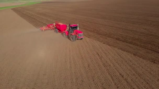 Στο πεδίο ένα σύγχρονο γεωργικό κόκκινο τρακτέρ σκληραίνει το έδαφος με τσουγκράνα, κινείται προς μια ευθεία κατεύθυνση, το χειρισμό του εδάφους πριν από τη σπορά, θέα από ένα drone αέρα — Αρχείο Βίντεο