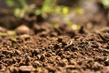 Tarım için temiz toprak. Saksı toprağı ya da turba bahçıvanlık için uygundur ve dört doğal elementten biridir. Toprak, gezegenimiz Dünya için yaşamdır. Seçici Odaklanma.