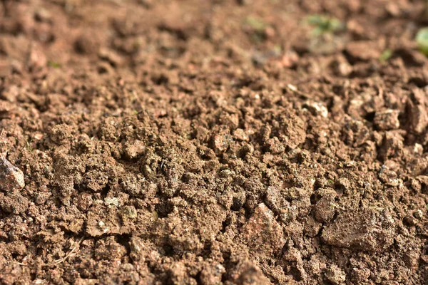 Tarım için temiz toprak. Saksı toprağı ya da turba bahçıvanlık için uygundur ve dört doğal elementten biridir. Toprak, gezegenimiz Dünya için yaşamdır. Seçici Odaklanma.
