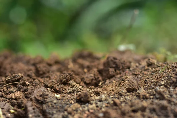 Clean soil for cultivation. The potting soil or peat is suitable for gardening and is one of the four natural elements. The land is life for our planet earth. Selective Focus.