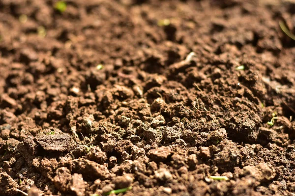 Čistá Půda Pro Pěstování Půda Nebo Rašelina Vhodná Pro Zahradničení — Stock fotografie