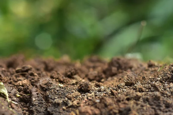 用于耕作的清洁土壤 盆栽土壤或泥炭适合园艺 是四种自然元素之一 土地是我们地球的生命 选择性焦点 — 图库照片