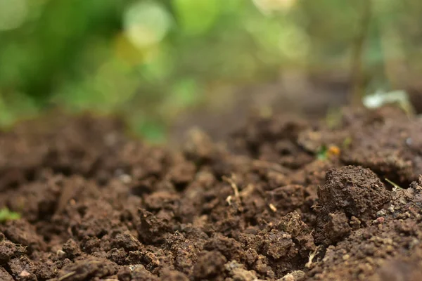 Czysta Gleba Uprawy Gleba Doniczkowa Lub Torf Nadaje Się Ogrodnictwa — Zdjęcie stockowe