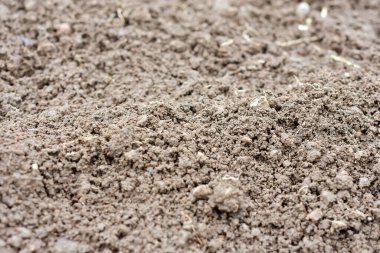 Bir sebze yetiştirme aracı olarak temiz toprak