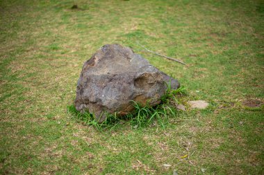 Arka plan için yeşil çimen. Yeşil çimlerin üzerinde beyaz yuvarlak taş