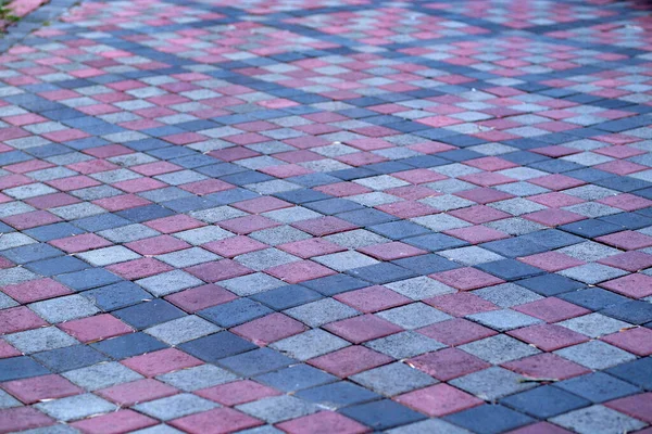 Colorido Adoquín Camino Pavimento Césped Dividido Por Bordillo Hormigón — Foto de Stock