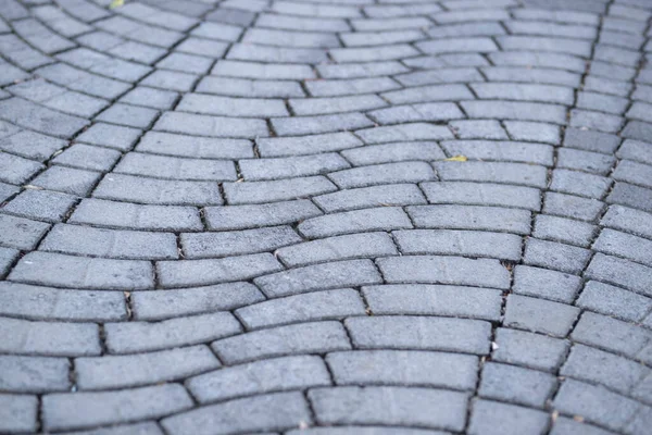 Perspektíva Kilátás Monotone Gray Brick Stone Pavement Földön Street Road — Stock Fotó