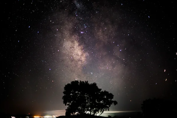 Un arbre avec la voie lactée et des étoiles en arrière-plan — Photo