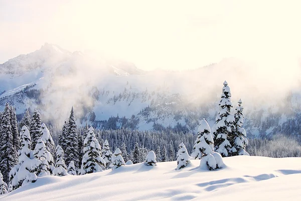 Montez. Rainier recouvert de neige, illuminé par un soleil chaud . — Photo