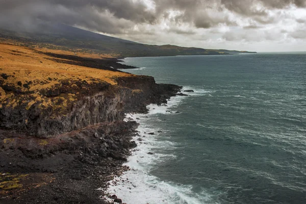 Hawaii siyah kayalıklarla