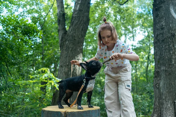 Çocuk parkta sopayla oynayıp buldog ya da köpek yavrusu eğitiyor.