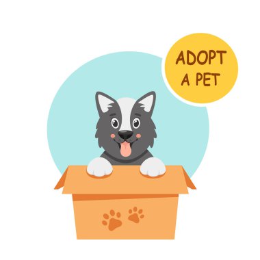 Adopt a pet. Cute puppy in the box. Vector illustration in flat style. clipart