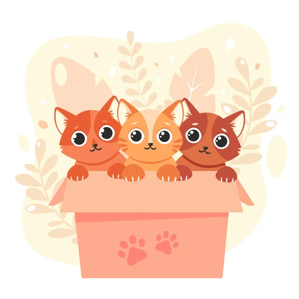 Adopta Una Mascota Lindos Gatitos Caja Ilustración Vectorial Estilo Plano — Vector de stock