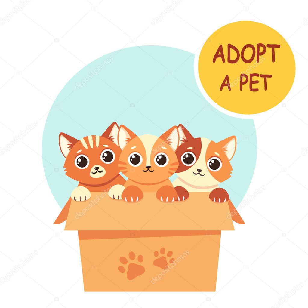 Adopt a pet. Cute kittens in the box. Vector illustration in flat style