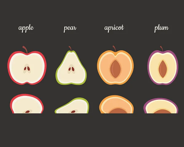 Fruchthälften Apfel Birne Aprikose Pflaume Vektorillustration — Stockvektor