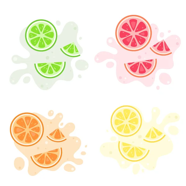 Früchte Plätschern Exotische Und Tropische Früchte Zitrone Limette Orange Grapefruit — Stockvektor