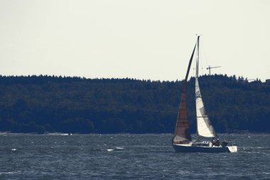 Yelkenlideki insanlar. Vancouver eğlencesi. .