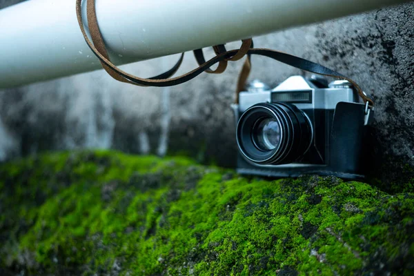 Duvardaki yeşil ve kahverengi desenli eski / antika kamera