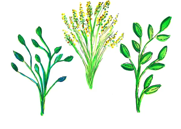 Set di foglie e fiori verdi su uno sfondo bianco isolato. Illustrazione ad acquerello su un ramo verde in stile piatto, disegno del fumetto. — Foto Stock