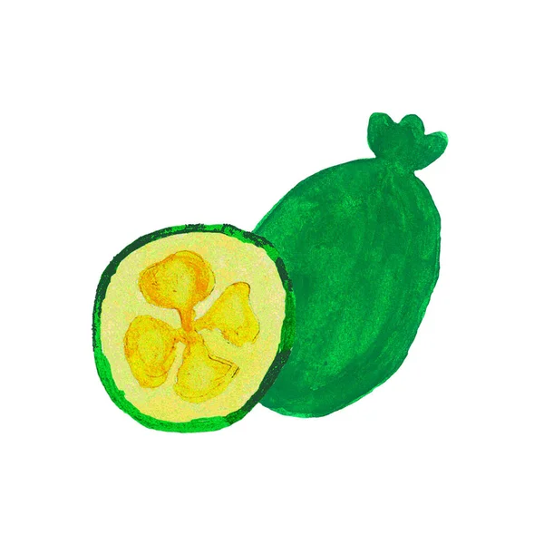 Feijoa Frutta Disegno Disegnato Mano Illustrazione Dolce Esotico Asiatico Feijoa — Foto Stock