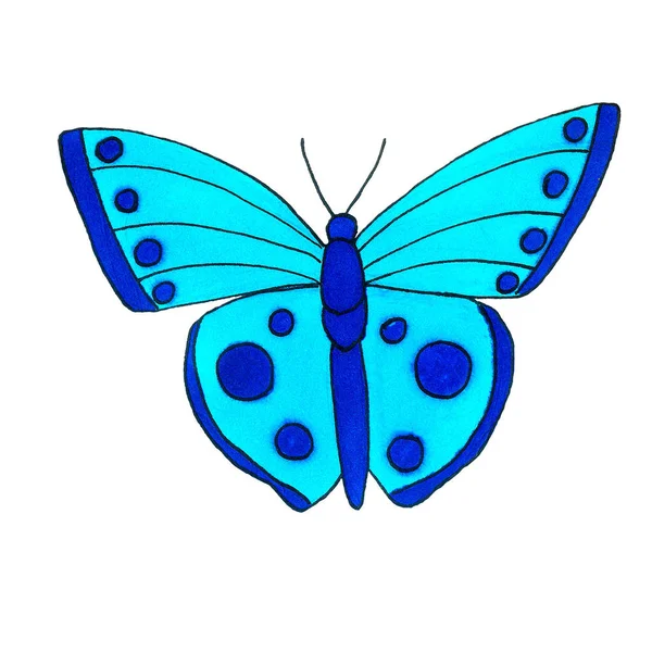 Hermosa Mariposa Exótica Con Alas Colores Ilustración Dibujo Mano — Foto de Stock