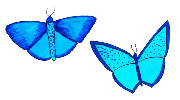 Conjunto Hermosas Mariposas Exóticas Con Alas Colores Ilustración Dibujo Mano — Foto de Stock