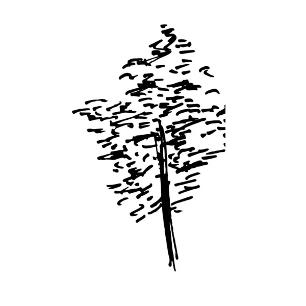 Дерево Векторні Ілюстрації Чорні Каракулі Дереві Ізольовані Білому Тлі Ілюстрація — стоковий вектор
