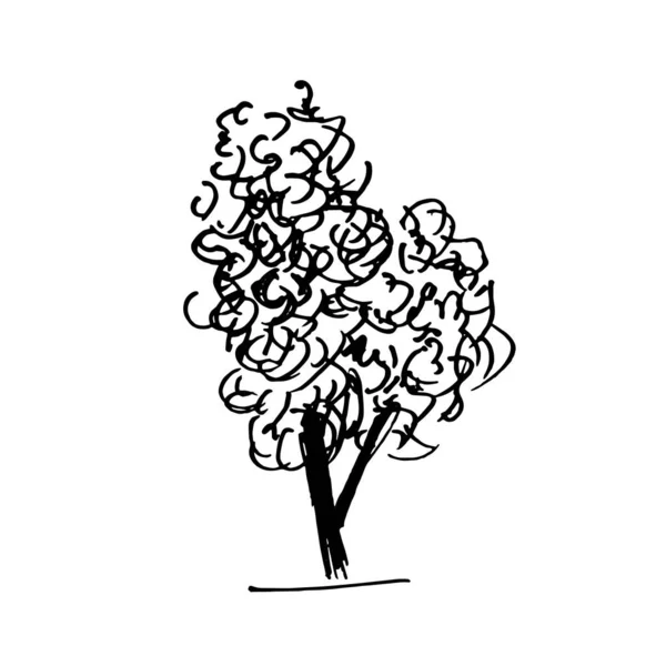 Illustration Vectorielle Des Arbres Arbre Noir Gribouillis Isolé Sur Fond — Image vectorielle