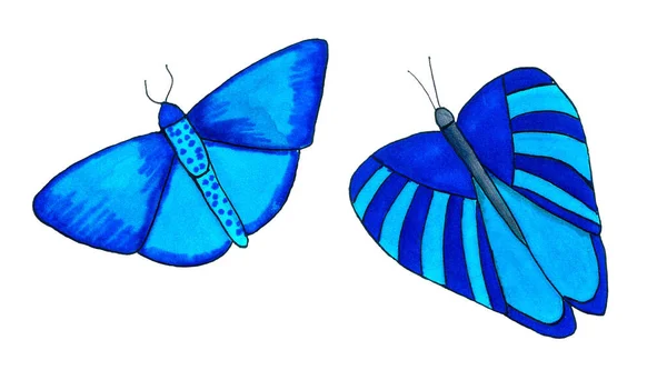 Set schöner exotischer Schmetterlinge mit bunten Flügeln — Stockfoto