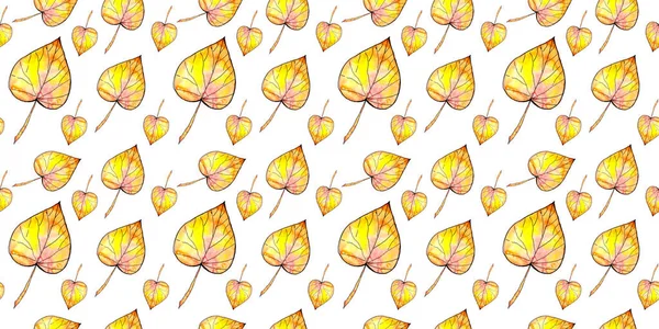 Patrón sin costuras con hojas de otoño de colores. Ilustración en acuarela . —  Fotos de Stock