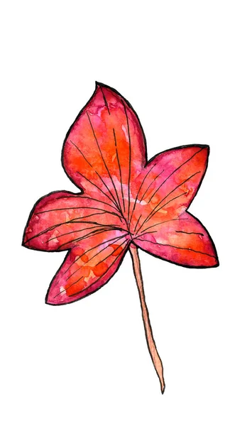 Herbst rotes Blatt Aquarell Illustration — Stockfoto