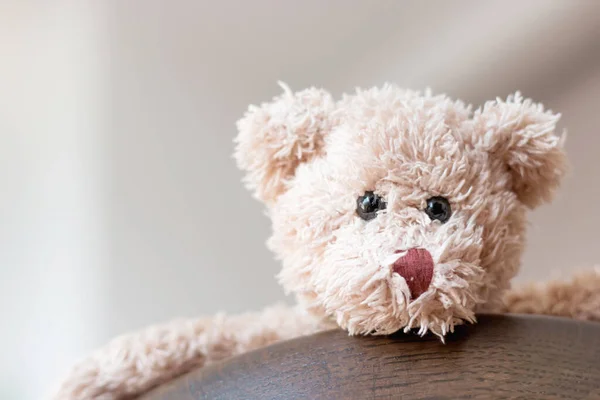 Teddybjörnen Håller Trä Med Vit Bakgrund Glad Känsla Och Lekfull — Stockfoto
