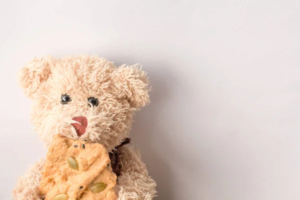 Teddy Bear Sta Mangiando Dolci Biscotti — Foto Stock