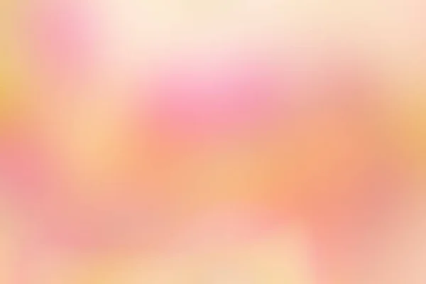 Sweet Pastel Color Flower Soft Blurry Focus Photo Vintage Style — Stock Photo, Image