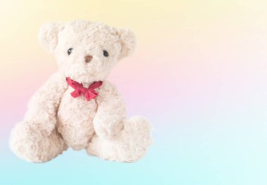 Pastel arka planda sevimli bir oyuncak ayı.