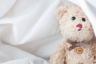 Sevimli oyuncak ayı kumaşla saklambaç oynuyor, Happy Feel konsepti..