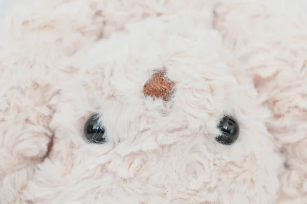 Mignon Visage Ours Peluche — Photo